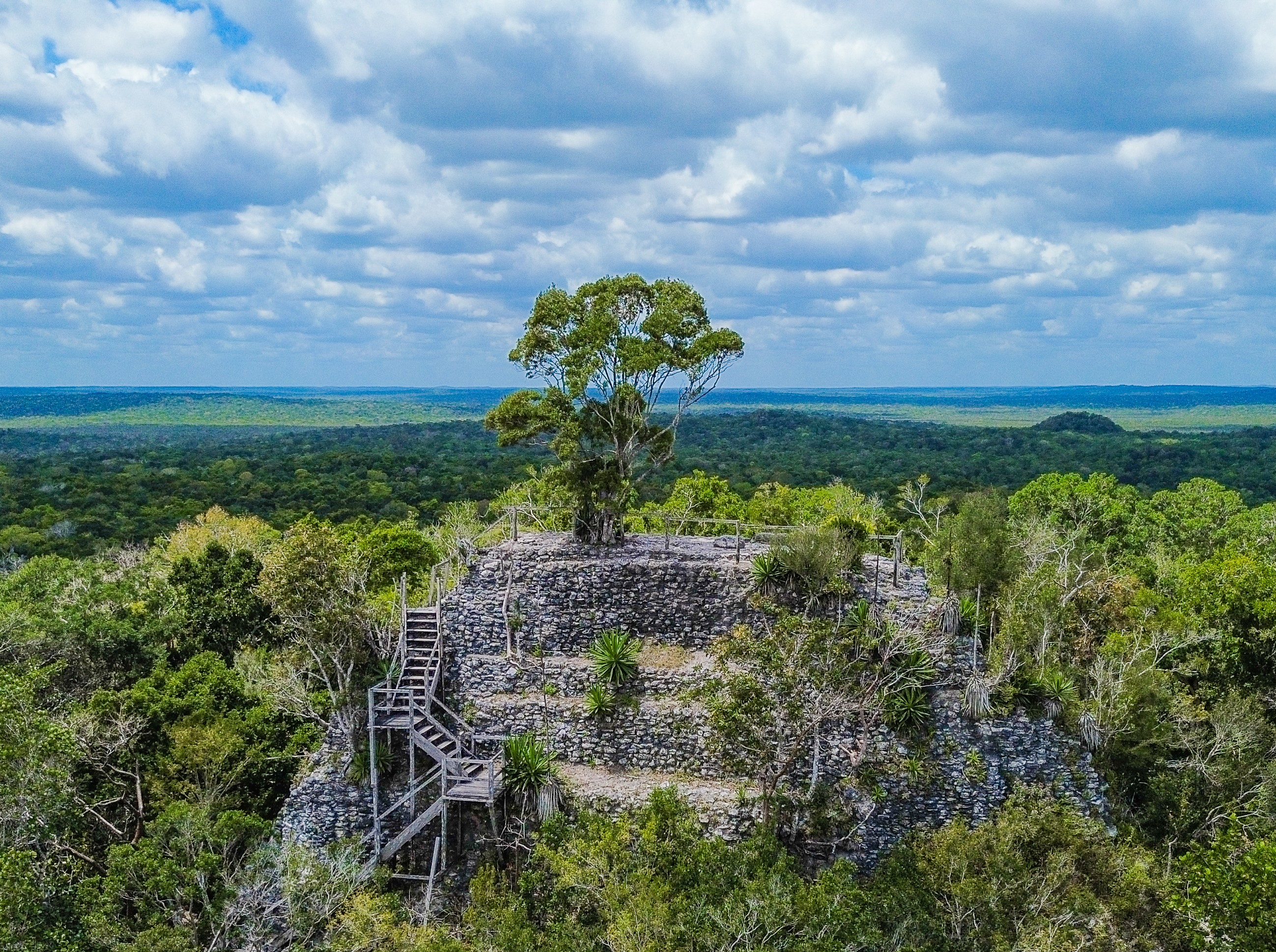 El Mirador
